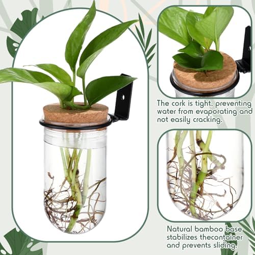 Baderke 6 Set Wall Plant Holder with Plastic Propagation Vases Hanging Planter Wall Mounted Set for Plants Growing in Water Hydroponic Artificial Plants Indoor Decor (2.48" X 4.72",Test Tube)