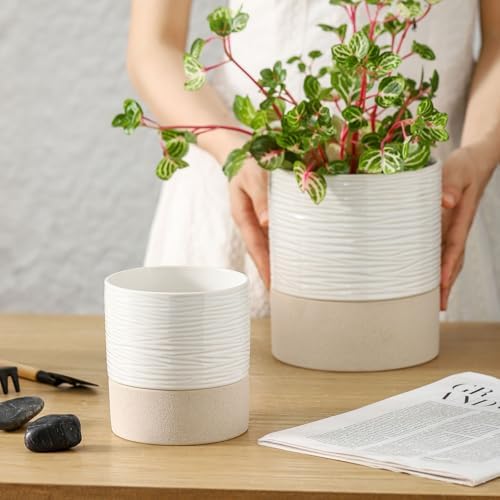 Nihow Ceramic Self Watering Plant Pot for Indoor Plants, 4.5 Inch
