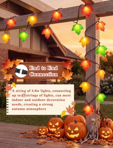 Fall Decor String Lights, 12FT 20 LED Thanksgiving Leaf Lights Plug in