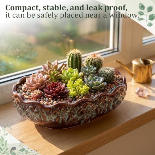 11 Inch Oval Ceramic Shallow Succulent Planter with Tray, Blue and Brown