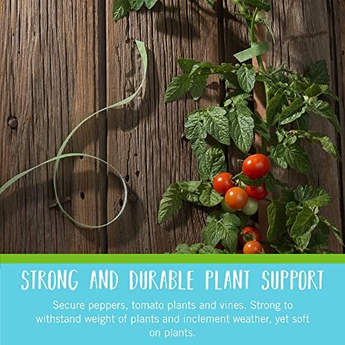 Velcro Brand Adjustable Plant Ties, Green Garden Tape, 75 ft x 1/2 in