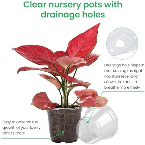 Bluepro Clear Nursery Pots with Drainage Holes, 3.5/4/5 Inch, 36-Pack