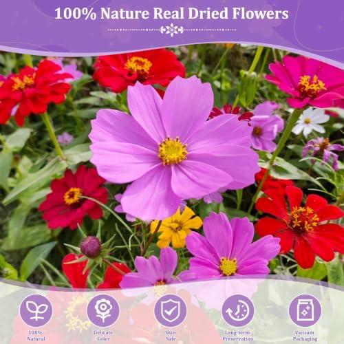 Evatage 480 Pcs Real Dried Pressed Flowers for Resin Crafts