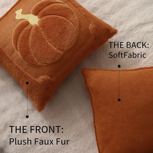 Allorry Fall Pillow Covers 18x18 2 Pack Rust Pumpkin Home Decor PT010C18