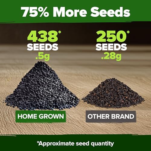 HOME GROWN Thai Basil Seeds, 438 Seeds, Ocimum basilicum VAR. thyrsiflora