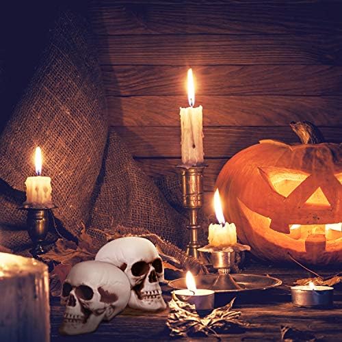Boao 8 Pcs Halloween Skull Heads, 2.4 x 3.1 in Skeleton Skulls for Decor
