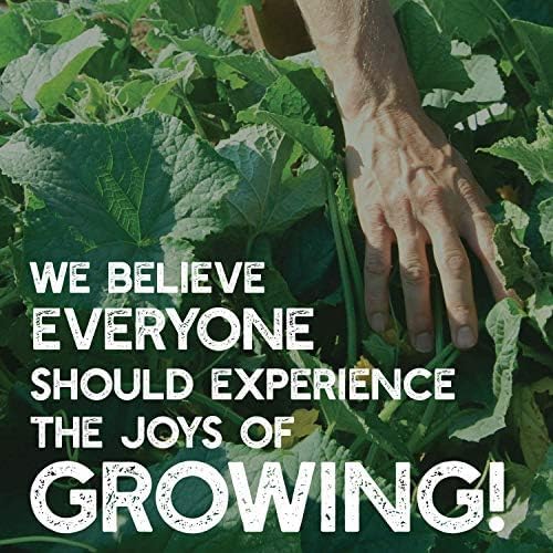 Mountain Valley Seed Co Clover Trio Seed Blend – Premium 1 Lb 179,200 Seeds | Red, White & Crimson Clover – Cover Crop