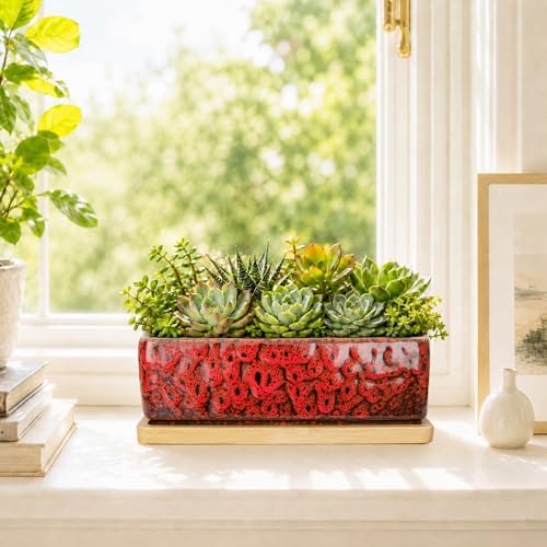 Succulent Pots, 7'' Large Long Rectangle Planters with Drainage Tray