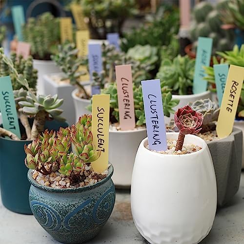 Mr. Pen- Plastic Plant Labels, 100 Pcs, 4“, Pastel Colors Plant Markers