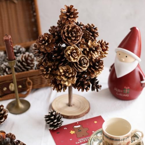 DoubleWood Natural Pine Cones, 2.3", 20Pcs, Rustic Large PineCones
