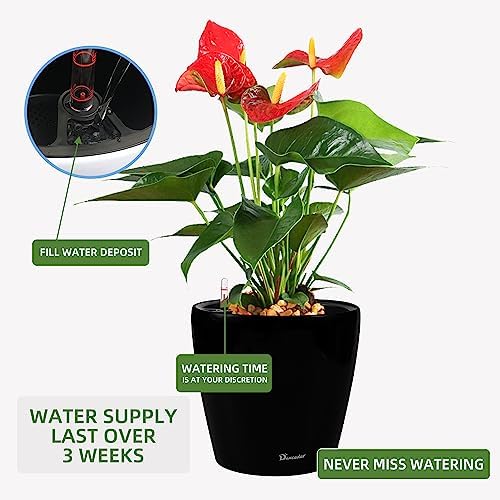 Dexceder 13x12 Self Watering Planter with Wheels (Black Matte)