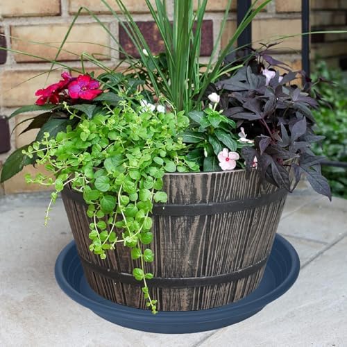 6 Pack of 8 inch Plant Saucer, Large Plant Tray, Heavy Sturdy Plant Drainage Tray for Indoors, Bird Bath Bowls, Sturdy Plastic Pot Tray for Planter (Blue)