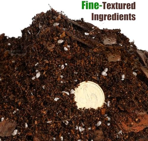Doter Organic Pothos Soil Mix 10qt, Indoor Plants Potting Mix for All Potted Pothos, Grow Healthy houseplants Indoors