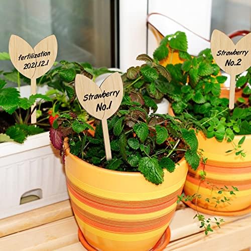KINGLAKE GARDEN Bamboo Plant Labels,Plant Labels 60 PCS Plant Tags
