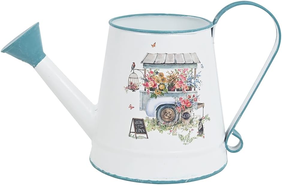 Cute Small Watering Can Indoor Plants Garden Metal Decorative Watering Cans for Outdoor Plants Bonsai Outdoor Garden