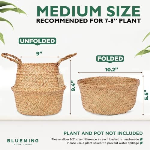 Medium Olive Tree Basket, Natural Woven Planter