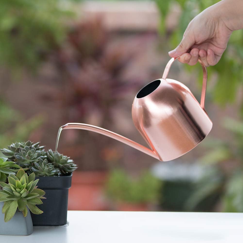 Rose Gold Watering Can for Indoor Plants, 450ml/15oz | Rose gold finish adds style while the long spout waters roots