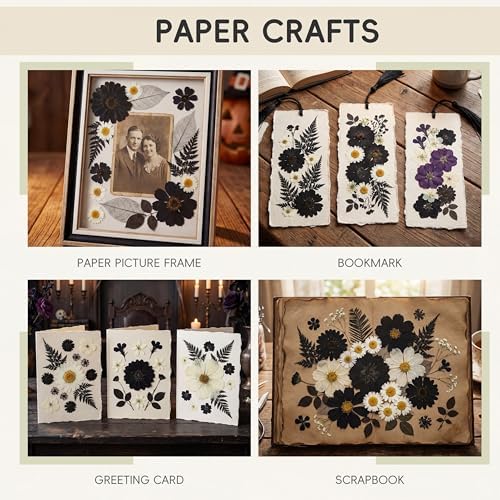 LUXEEASE 90P Halloween Black & White Dried Pressed Flowers