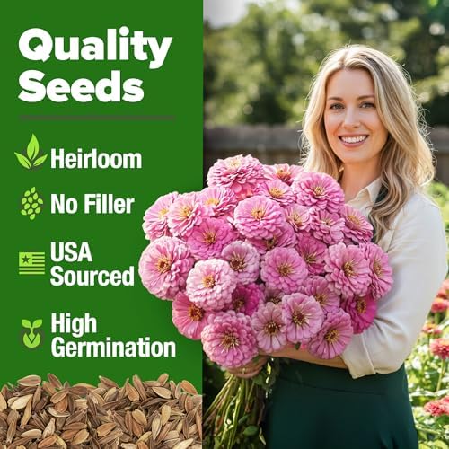 HOME GROWN Zinnia Seeds, Luminosa Pink, 1,500 Seeds, Zinnia elegans