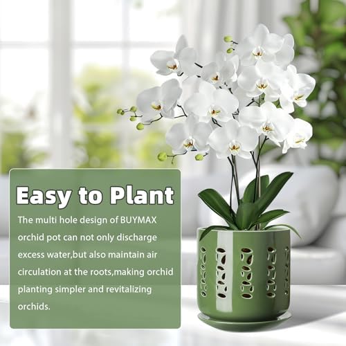 BUYMAX 5&6 Inch Ceramic Orchid Pots with Holes & Trays Root Care Planter