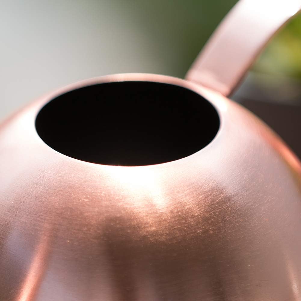 Watering Can for Indoor Plants, 30oz Long Spout Stainless Steel | Long Spout Design Delivers Precise Watering Directly