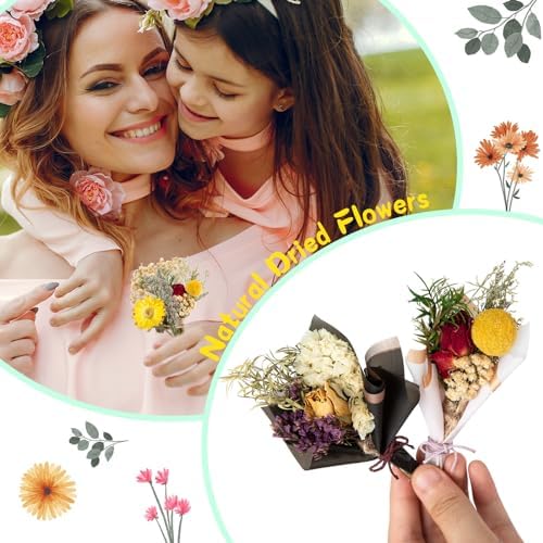 10 Pcs Dried Flowers for Crafts, Mini Dried Flowers Bouquet Bulk for Vase DIY Photo Bridesmaid Gift Birthday Decor