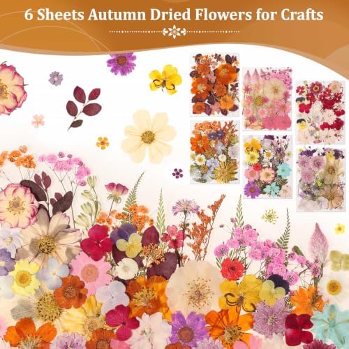 Evatage 180 Pcs Real Dried Pressed Flowers for Resin Crafts