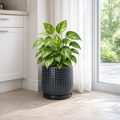 D'vine Dev Beaded Ceramic Pot with Saucer, 8 in, Glossy Black, 27-C-Q-2