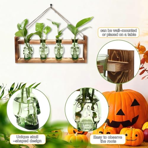 Plant Propagation Stations Halloween Skull Plant Terrarium Kit