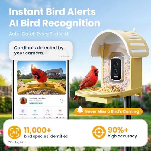 Smart Bird Feeder with Camera, Yellow