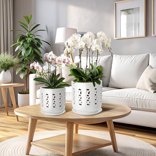BUYMAX Ceramic Orchid Pots with Holes Orchid Root Care Set of 2 Flower Pot