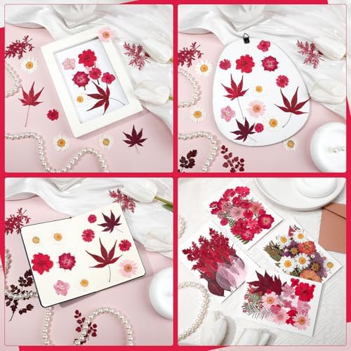 100 Pcs Real Natural Dried Pressed Flowers Pink