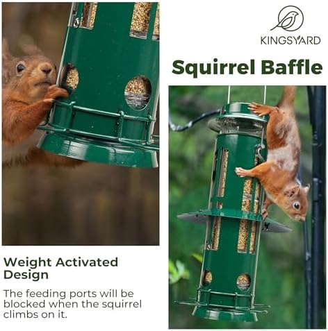 Kingsyard Squirrel Proof Bird Feeders for Outdoors Hanging