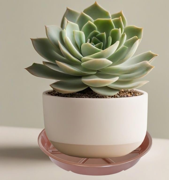 Plant Saucer Pot Tray 6 inch, 6 Packs Flower Planter Saucers, Heavy Drainage Tray for Indoors No Holes, Plastic Plant Saucers Water Catcher for Pots Base, Chocolate