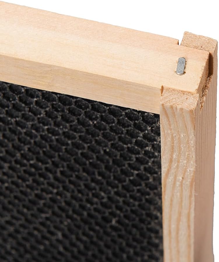 Honey Lake Medium Beehive Frames and Foudations Kit,10 Pack Super Bee Frames with Beeswax Coated Plastic Foundations