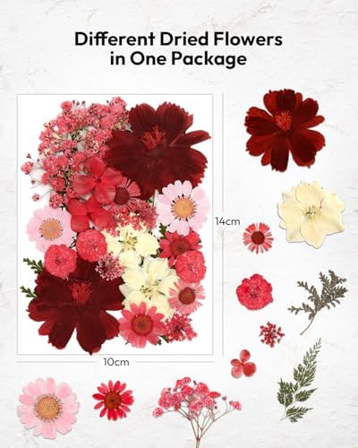 Dried Flowers, Resiners 174Pcs Pressed Flowers for Craft Red Real Natural Dried Flowers Dry Leaves Kit for DIY Making Crafts Resin Soap Candle Scrapbook Supplies Card Making Jewelry
