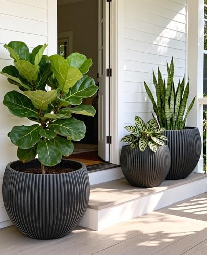 homenote 14.5/12/9.7 Inch Large Plastic Flower Pots with Drainage (3 Pcs)