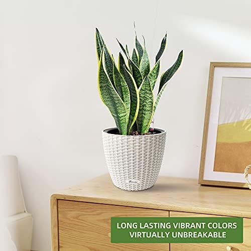 Dexceder 9x8 Self Watering Planter (Ivory White Rattan)