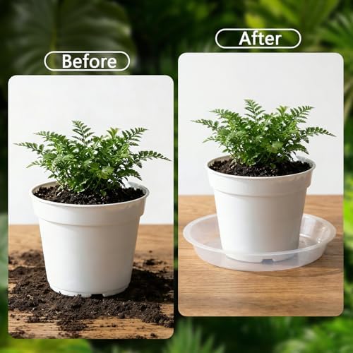 6Pack Plant Saucer, 3 5 7 9 11 13 15 17 19 21 in Plastic Plant Tray