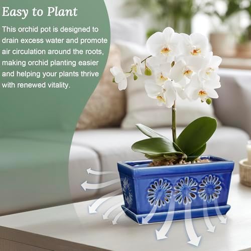 EFISPSS 10 Inch Orchid Pot, Ceramic Orchid Pots with Holes, Indoor Flower pots with Drainage and Saucer, Plant Pots Enhance Good Ventilation - Blue