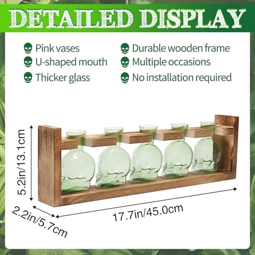 Plant Terrarium Propagation Stations Halloween Skull Planter Vase Skulls