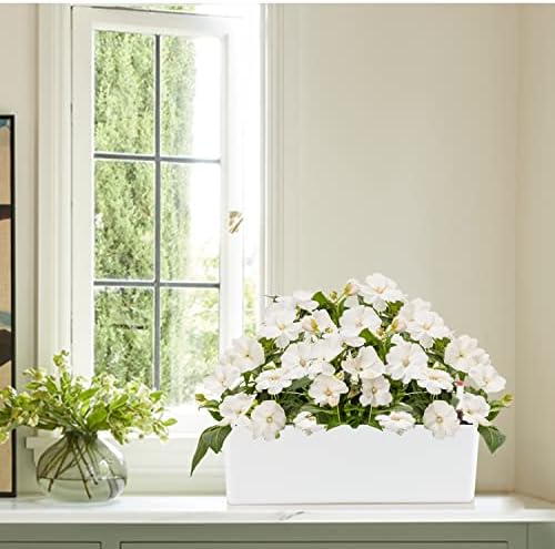 Elongated Self Watering Planter Pots 2-Pack Window Box 5.5 x 16 inch Indoor Home Garden Modern Decorative Planter Pot for All House Plants Flowers Herbs (White,2)