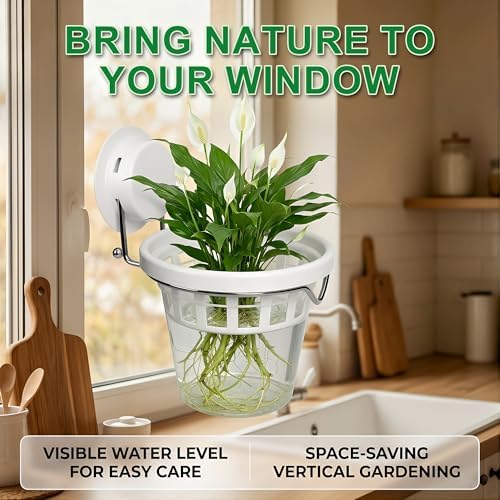 6-Pack Window Propagation Stations Hanging Clear Planter with Suction Cup