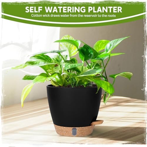 Self Watering Pots for Indoor Plants (5/5.5/6/6.5/8 Inch), Terra Cotta Planters with Water Level Indicator & Drainage,Wicking Pots for Monstera, Herbs & Snake Plant (Black, 5/5.5/6/6.5/8 Inch)