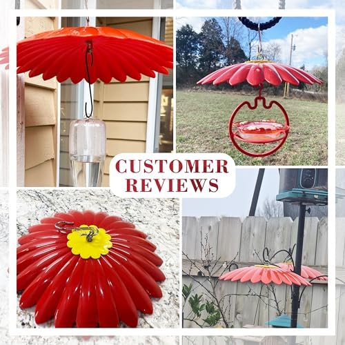 10.5 inch Bird Feeder Rain Guard,Hummingbird Feeder Shade Dome Cover,Umbrella Cover for Bird House for Outdoor,Squirrel Baffle,5 Pack(LightGreen,Green,Yellow,Orange,Red)