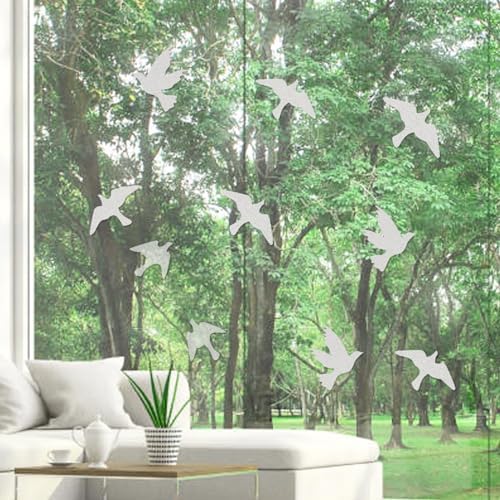 UV Reflective Anti Collision Window Bird Stickers Decals Glass Door Protect and Save Bird Strikes (Transparent, Reusable)