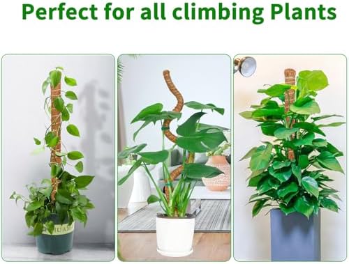 2 Pack Moss Pole for Monstera, 39in Coir Bendable Plant Support Stakes