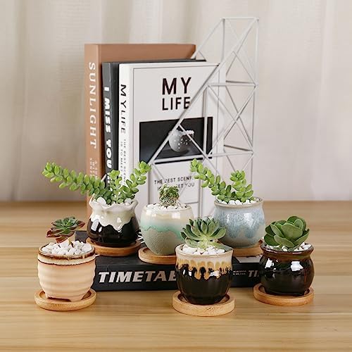 T4U Mini Ceramic Succulent Pots, Small Gift Planters, Retro Decor Set of 6