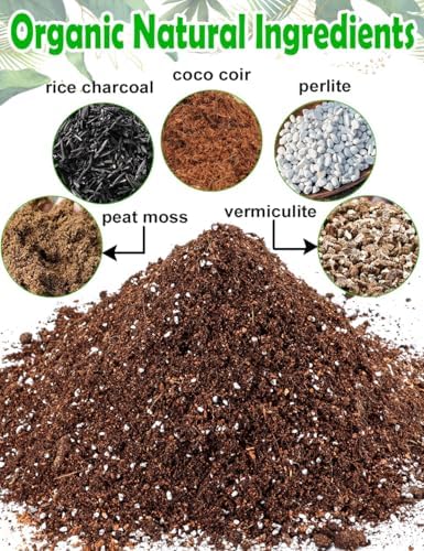 TOYPOPOR Potting Soil for All Indoor Houseplants, (6qt) Contains Perlite, Peat Moss, Coco Coir, Rice Charcoal, Well Draining Potting Mix Light, Aerated Texture for Healthy Plant Roots, Fast Growth
