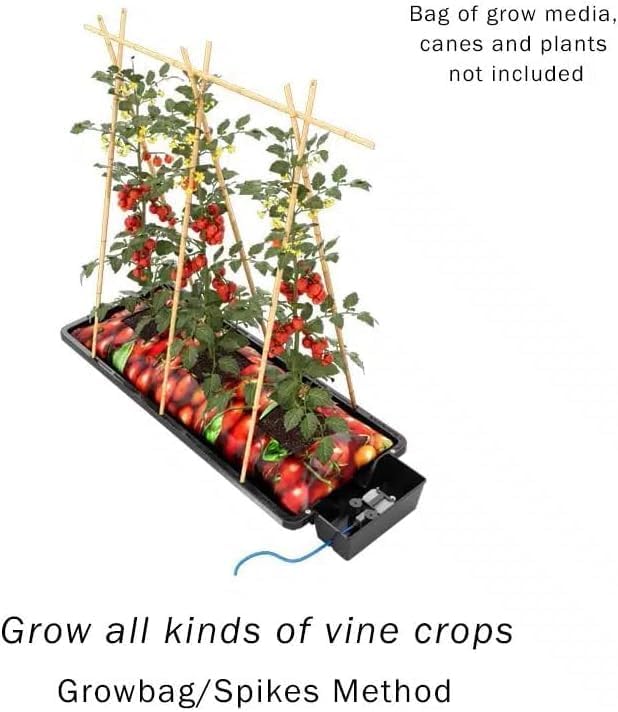 Tray2Grow System - Standard Tray2Grow with No Tank - Self-Watering, Gravity-Fed Hydroponic Indoor System, Black